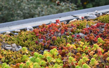 the cost of Breck Of Cruan green roof installation