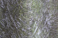 Breck Of Cruan fibreglass roof work